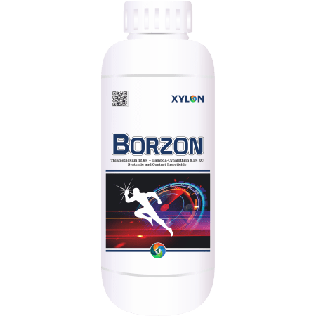 Borzon