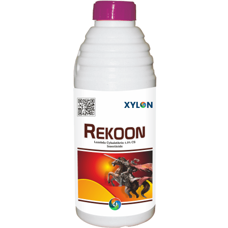 Rekoon