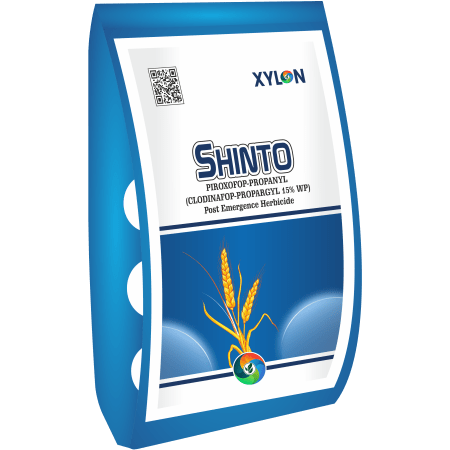 Shinto