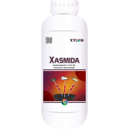 Xasmida