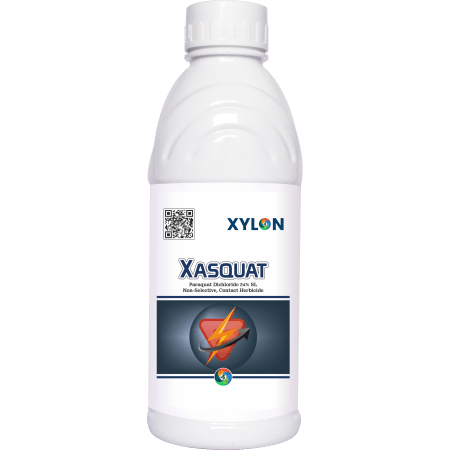 Xasquat